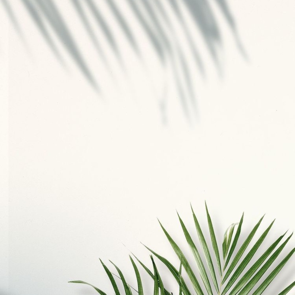 Meet your Posher, Almaz